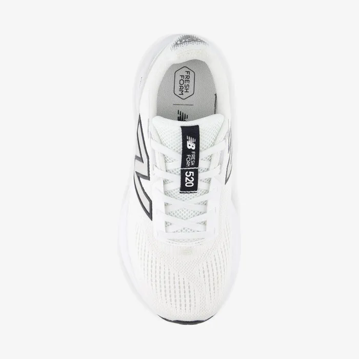 NEW BALANCE W 520 